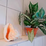 Apartamento Urlaub Am *